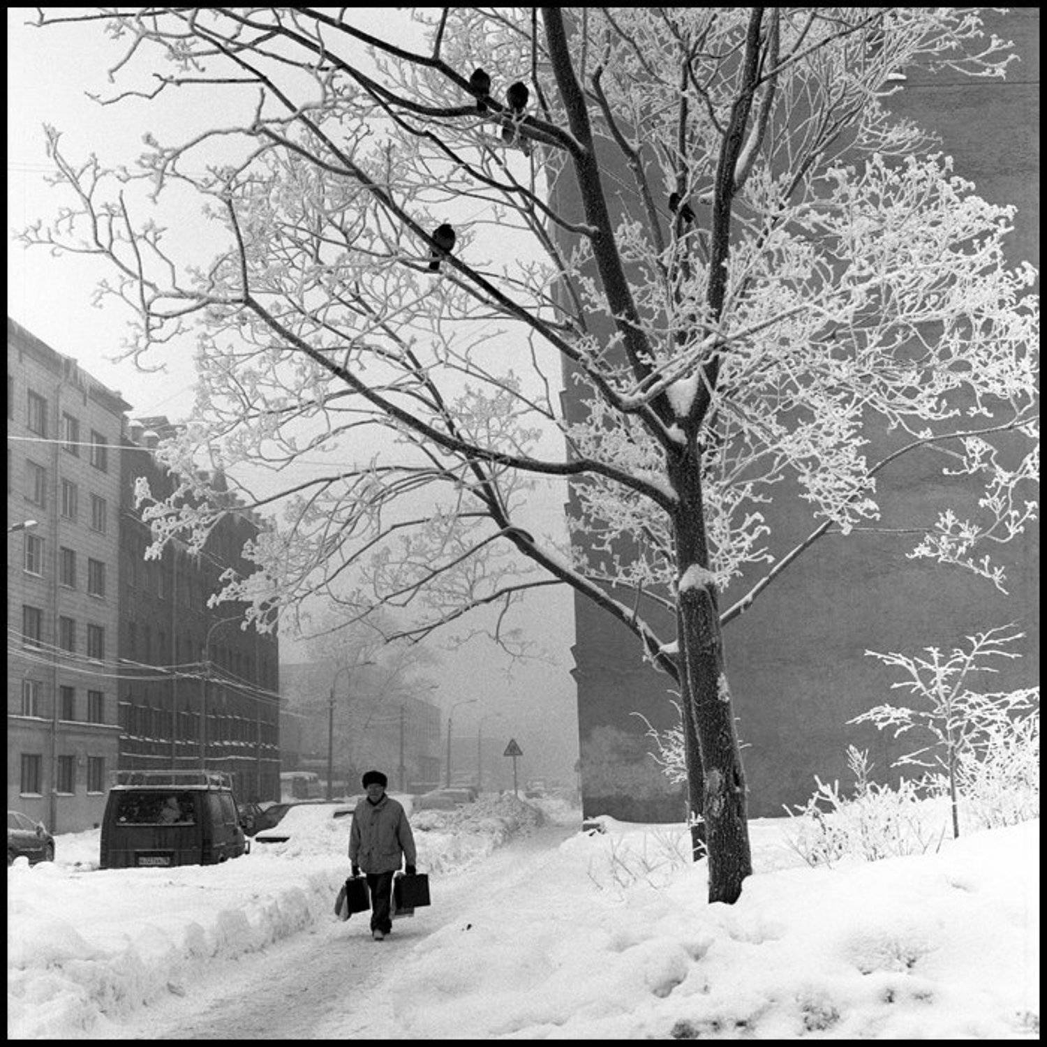 фотограф на свадьбу, свадебная фотография, алексей силаев, silaev, петербург,rolleiflex, gx, Алексей Силаев