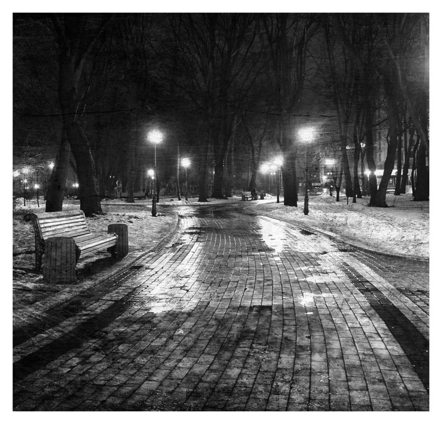 парк, Александр Доценко