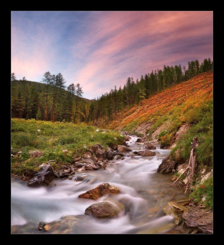 алтай, утро, рассвет, река, лес, небо, золотая осень Шабага фото превью