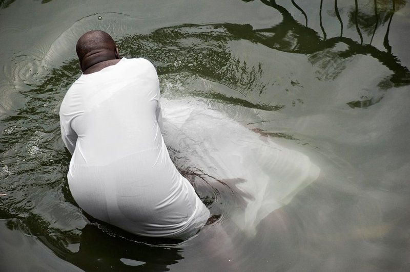israel, iardenit, nigerian, 2010 Vita Nova фото превью