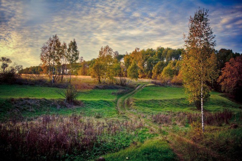 фото превью