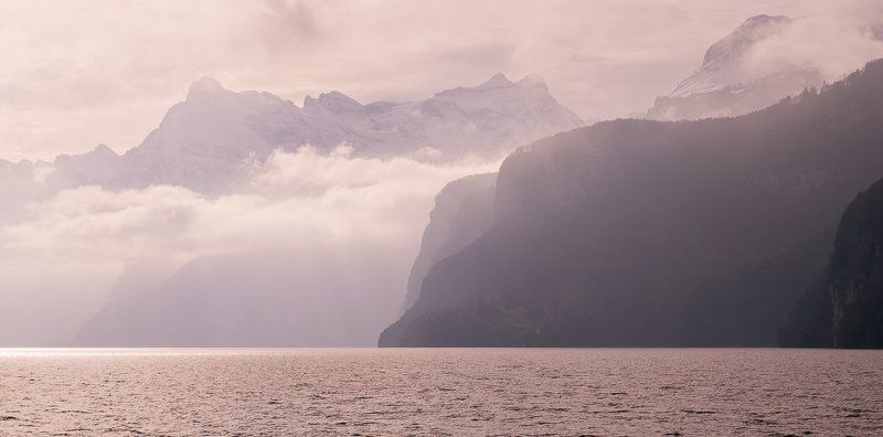 Пепел розы. фото превью