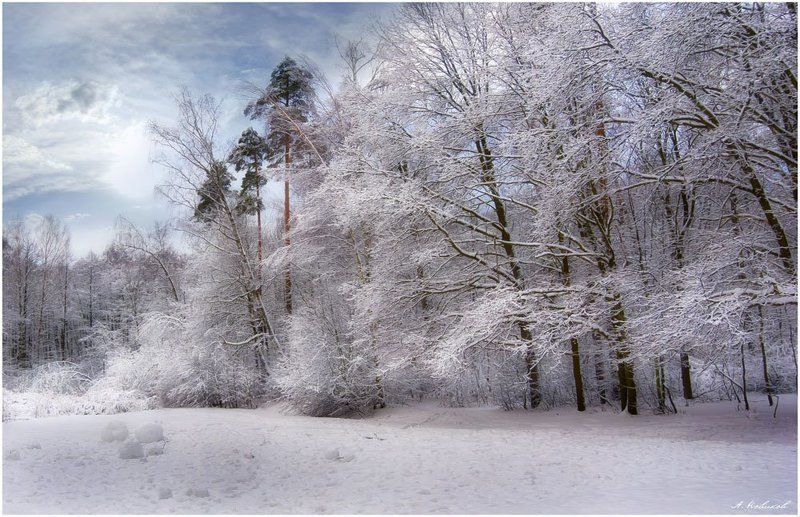 Зимний пейзаж фото превью