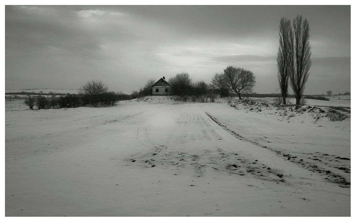 , Николай Шахманцир