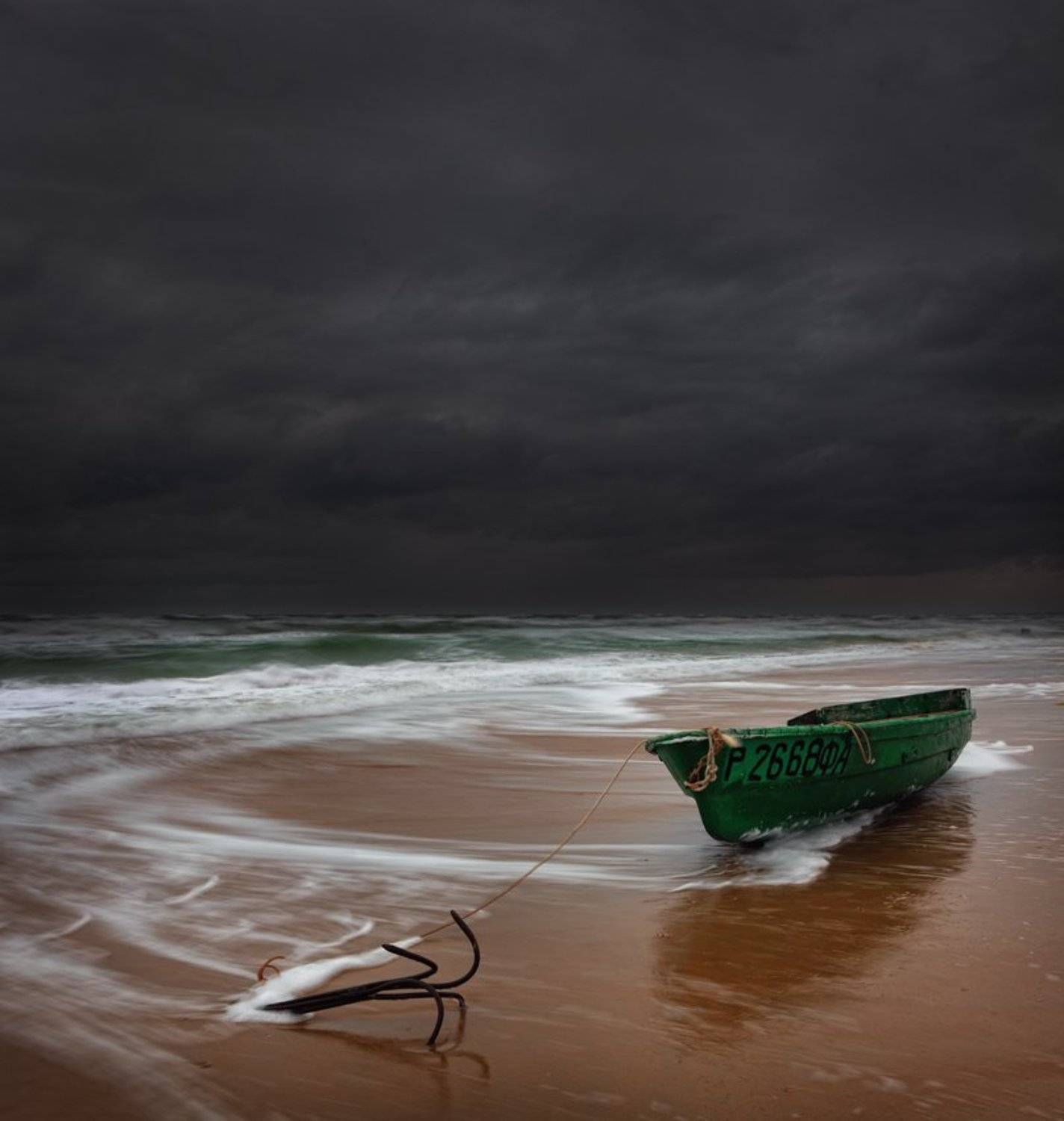 , А.П.Кактус