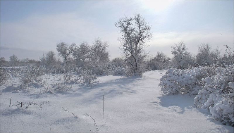 природа Вдали от суеты... фото превью