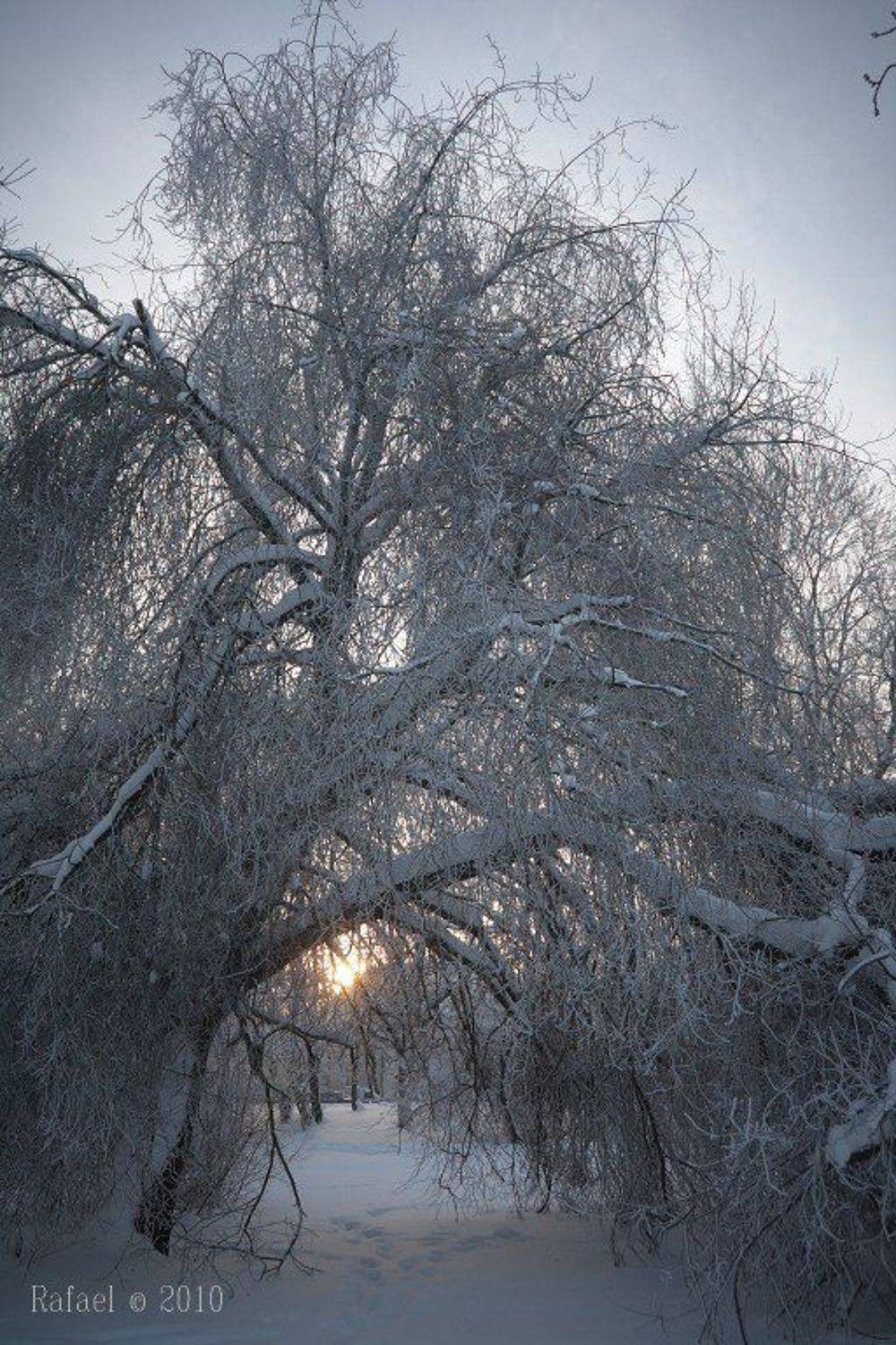 , Рафаэль Александрович Фоменко