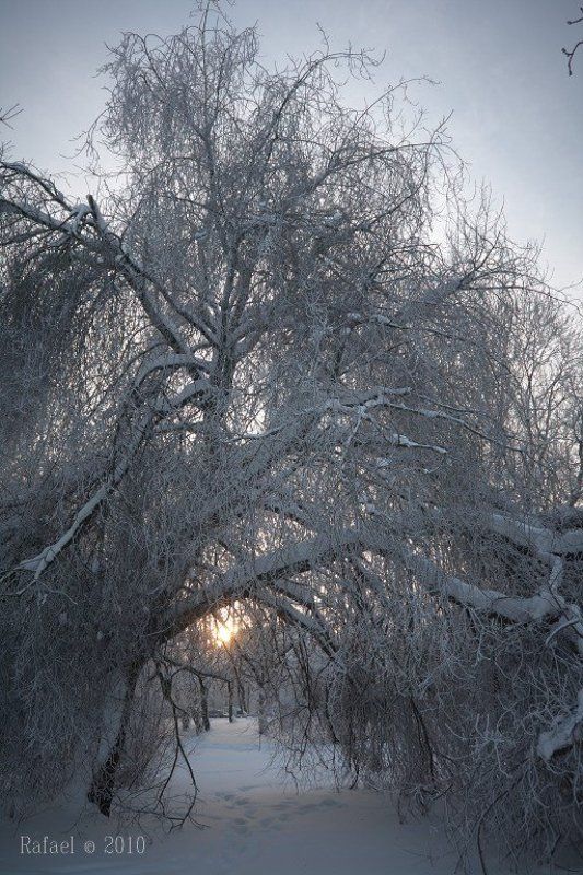 Солнце не за горами фото превью