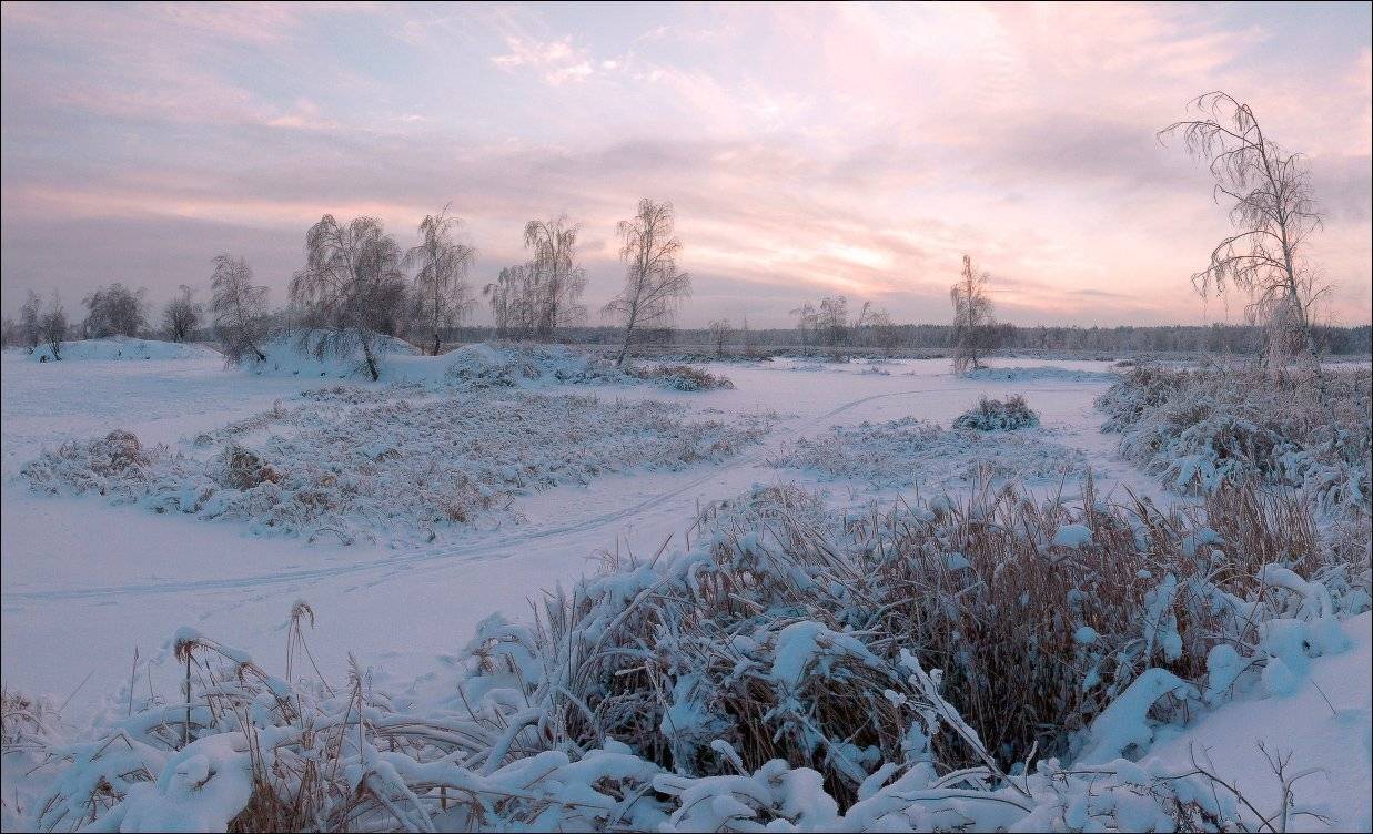 , Вадим Никифоров