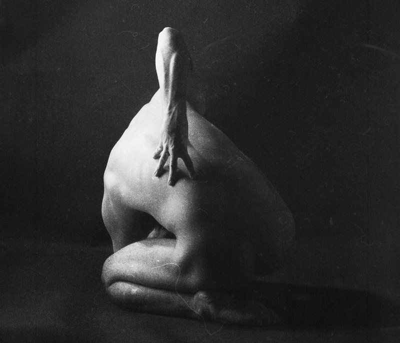 Protect Me фото превью