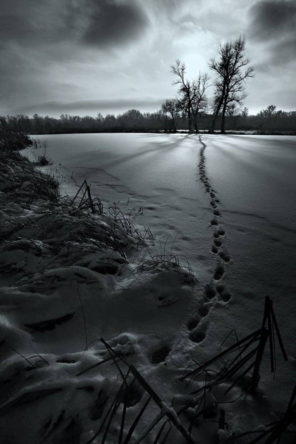 , Роман Николаев