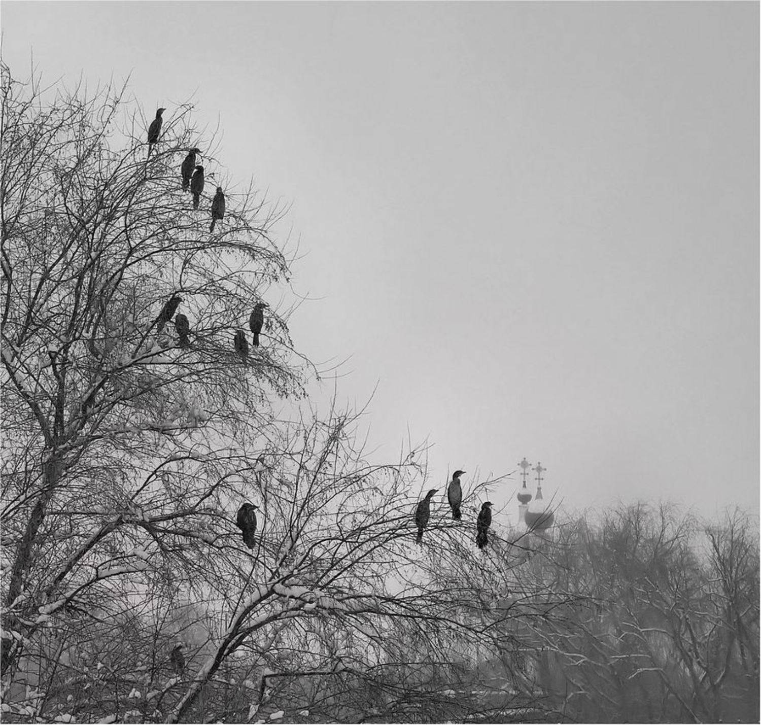 остальное, Геннадий Меремьянин