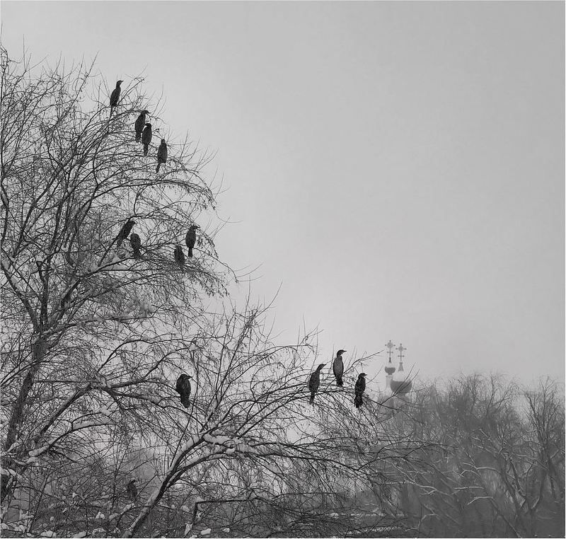 остальное * фото превью