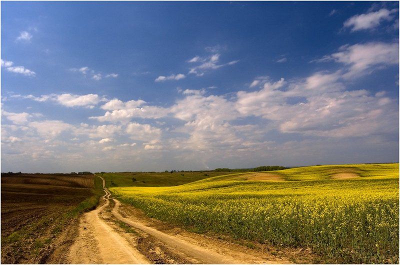полевые дороги фото превью