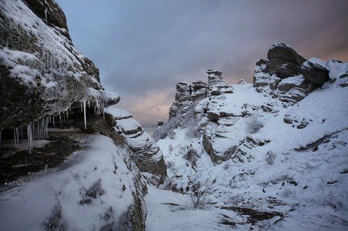 Январь в Крыму