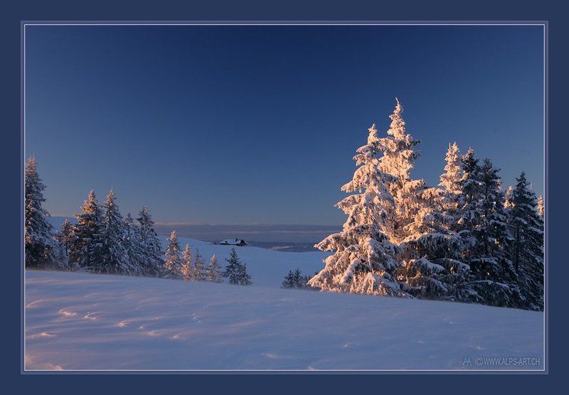 Старо-Новогодняя сказка фото превью