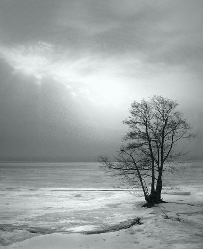 **** фото превью