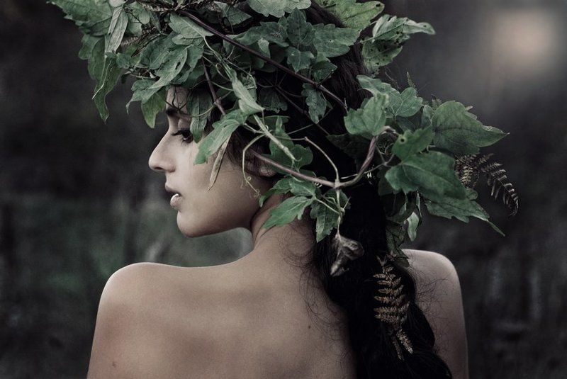 портрет, девушка, венок, осень, утро, вечер, плечи, спина, коса evening wine фото превью