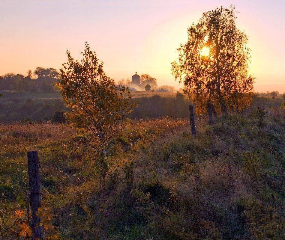 осень, вечер, закат, солнце, березки, Владимир