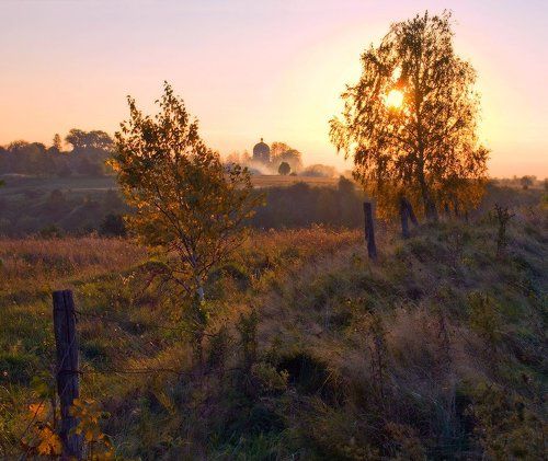 Золото заката