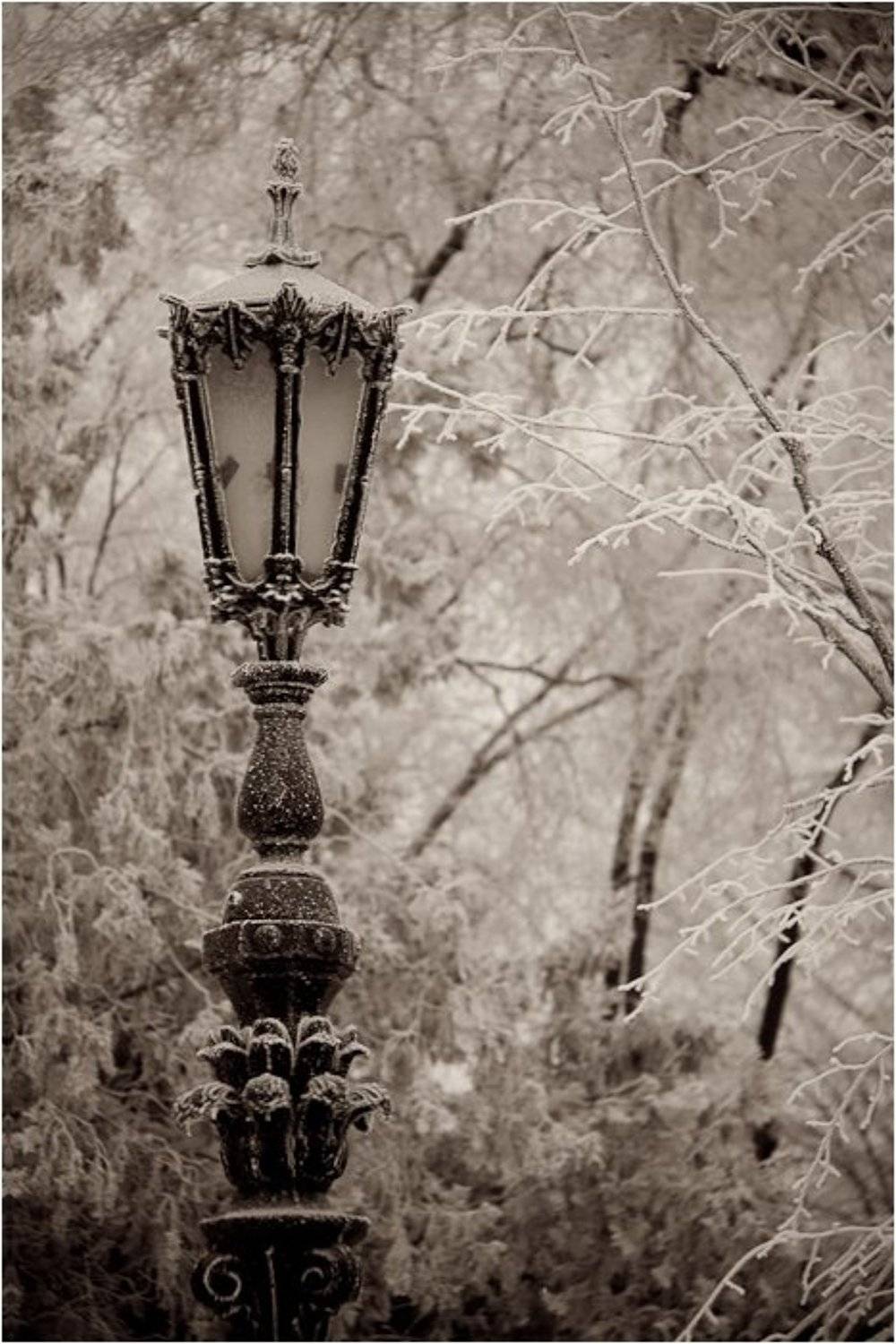 одесса,соборка ,фонарь, изморозь, Andrey D