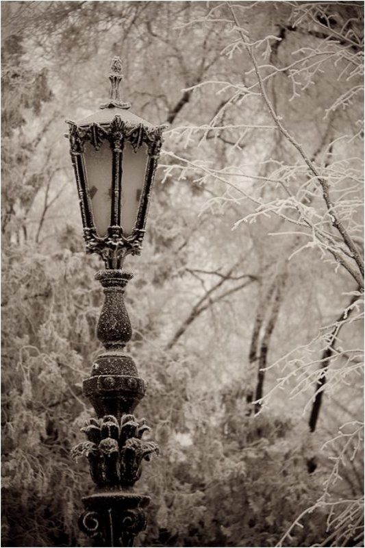 одесса,соборка ,фонарь, изморозь Изморозь фото превью