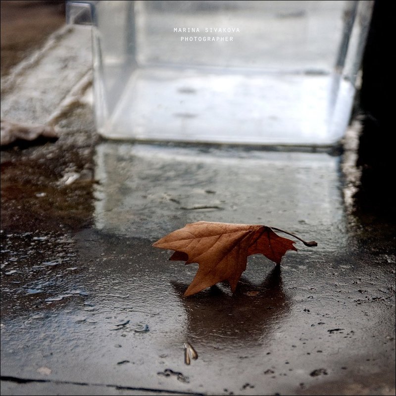 Трепетно и нервно фото превью