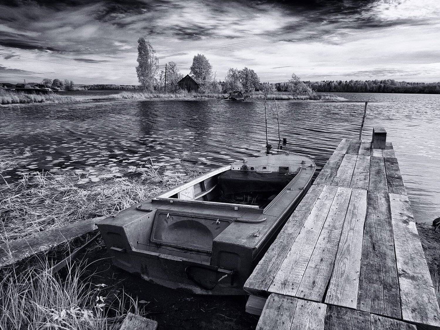 , Максим Евдокимов