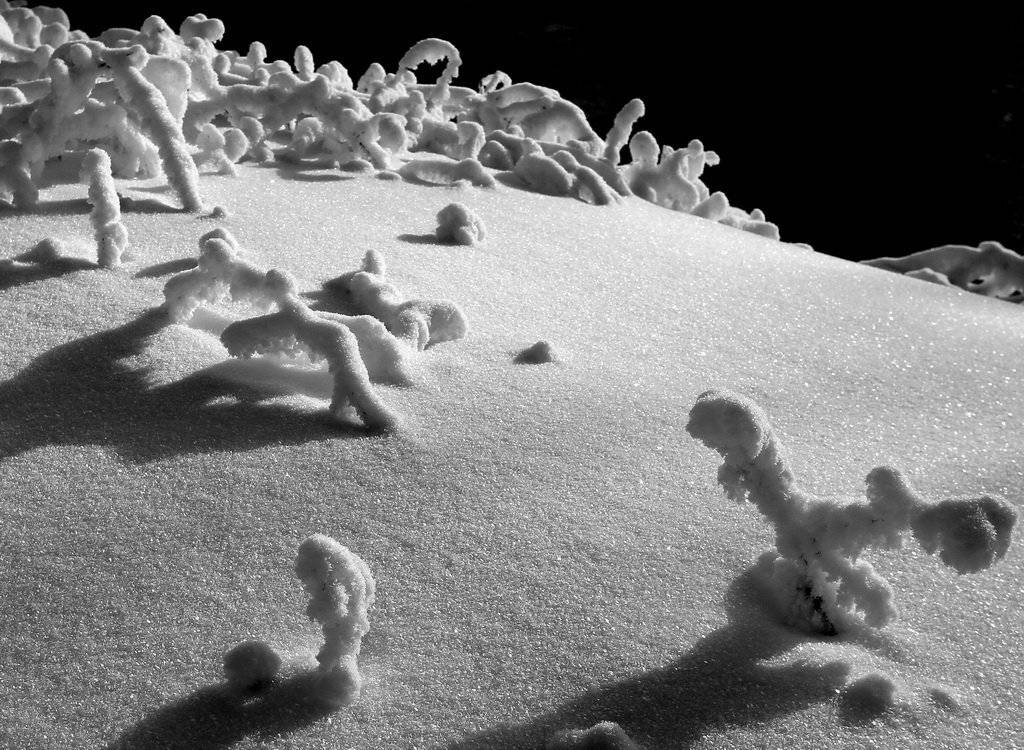 , Васенин Валерий