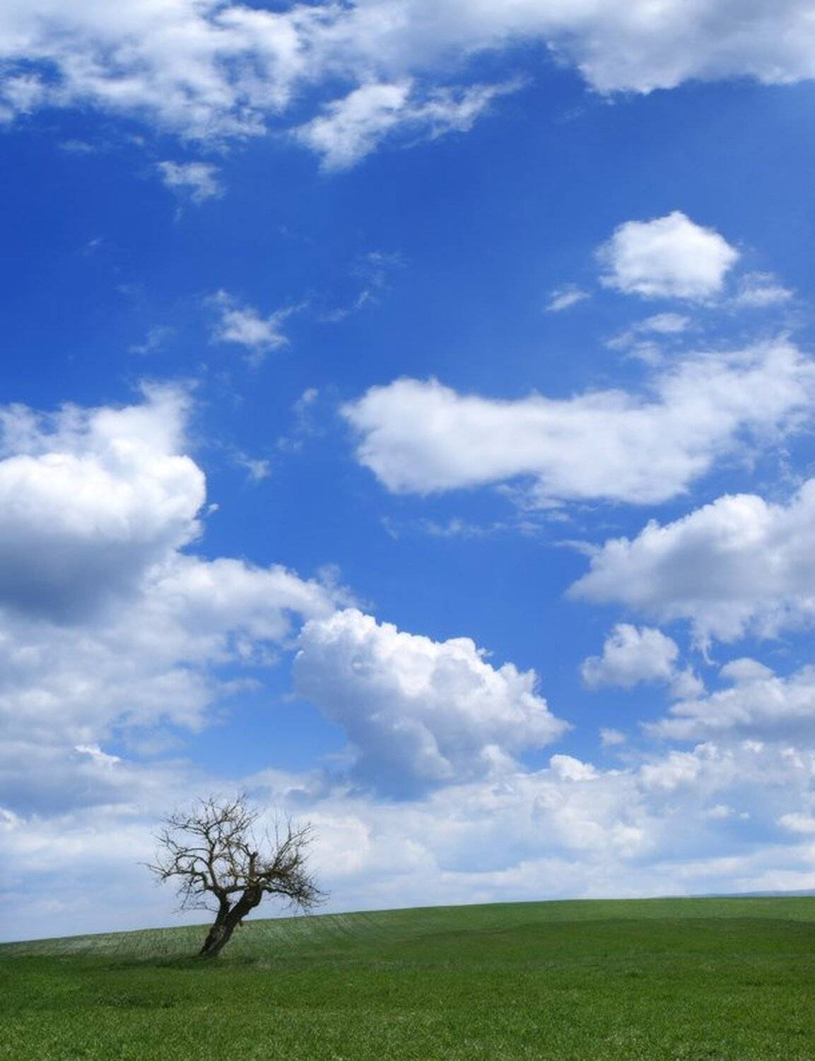 , Яна  Гайворонская