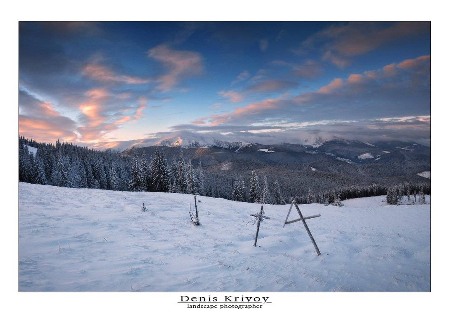 , Денис Кривой