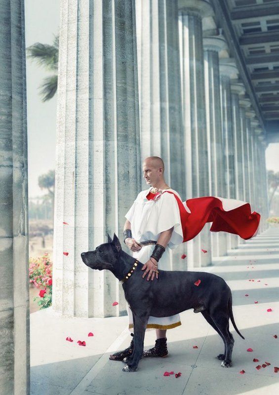 «В белом плаще с кровавым подбоем…» фото превью