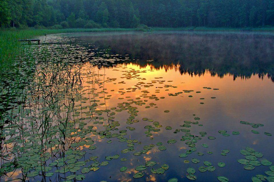 утренний, макияж..., Володя