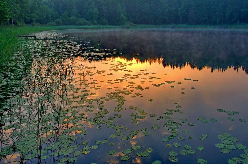 утренний, макияж... Утренний макияж... фото превью