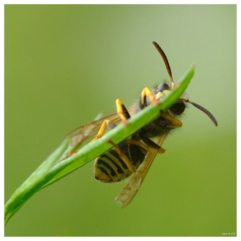 Обязательные десять фото превью