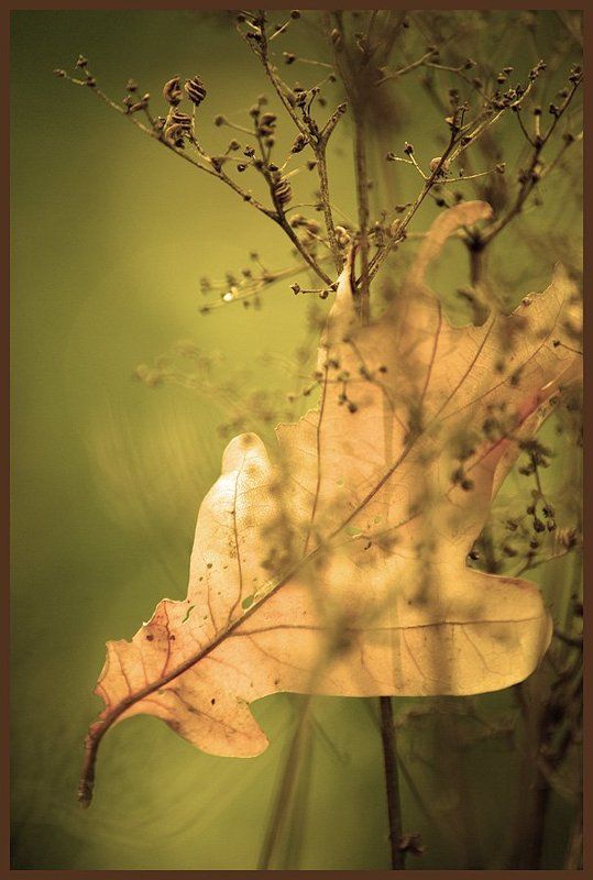 Равновесие фото превью