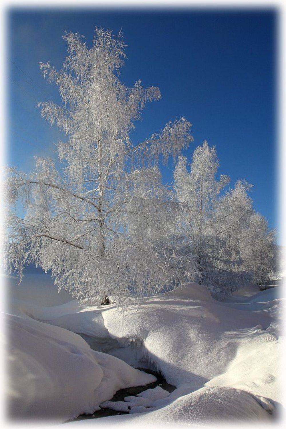 зима, пейзаж, allegria