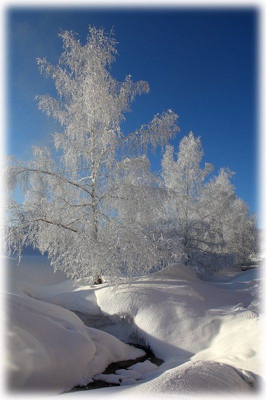 зима, пейзаж в инее фото превью