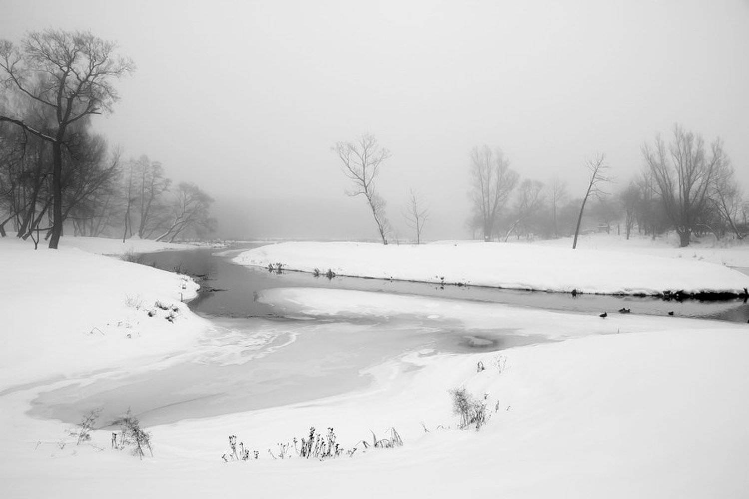 лошица, парк, минск, зима, река, снег, Vodyanickii Vladimir