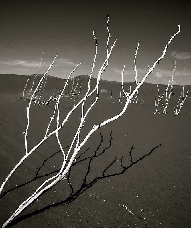 ушедшая жизнь фото превью