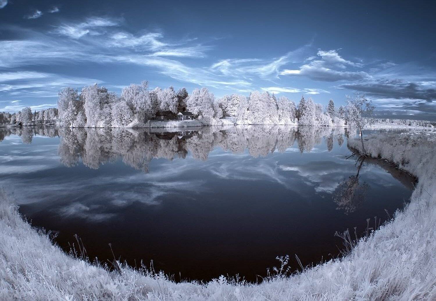 , Максим Евдокимов