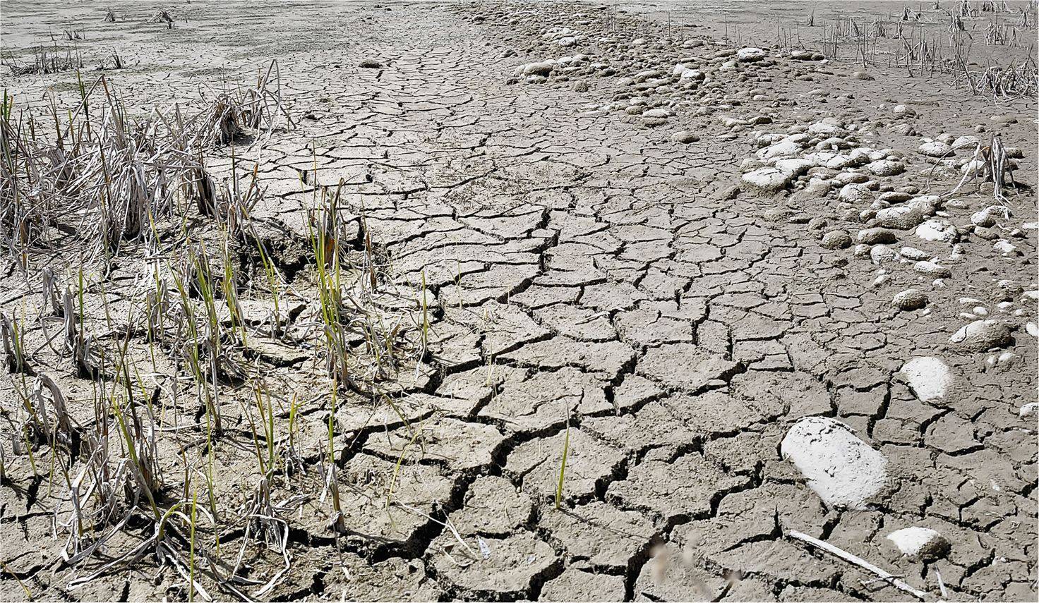 , Геннадий Меремьянин