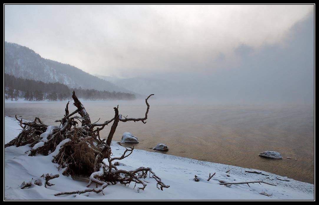 алтай, телецкое, озеро, Юрий Фролов