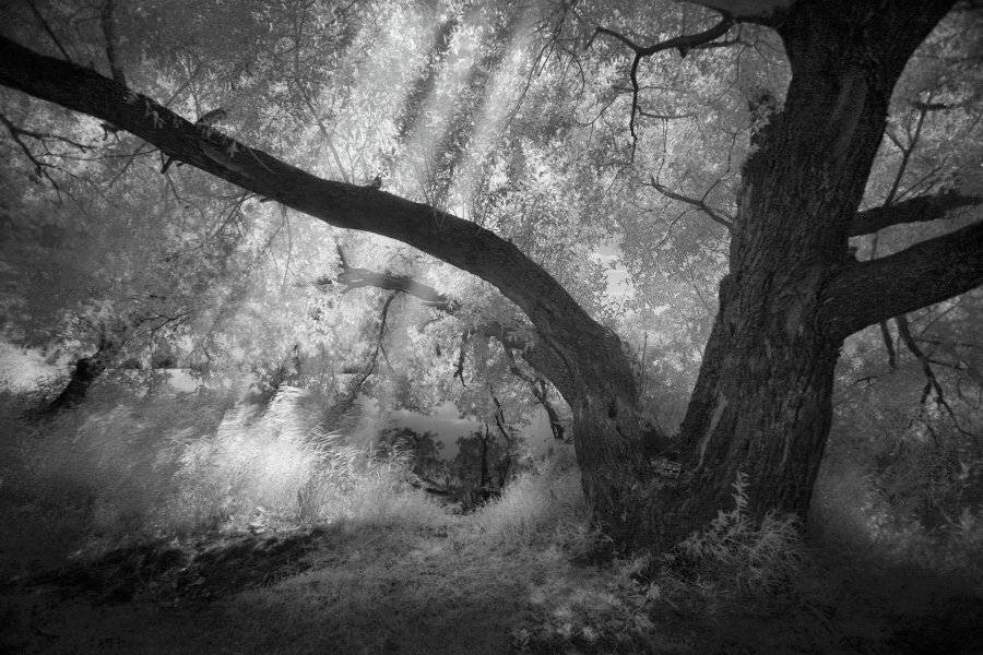 ик, Эдуард VTORNIK  Николаев