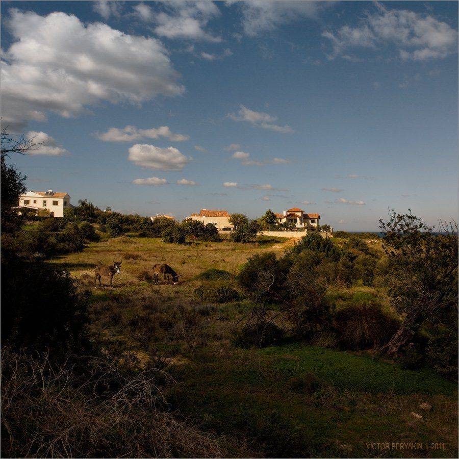 , Виктор Перякин