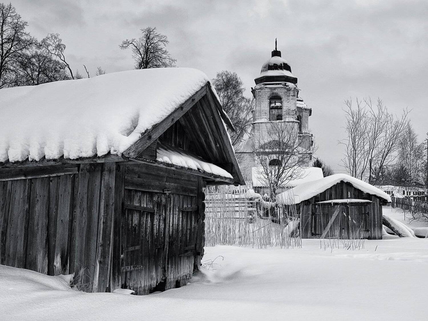 , Максим Евдокимов