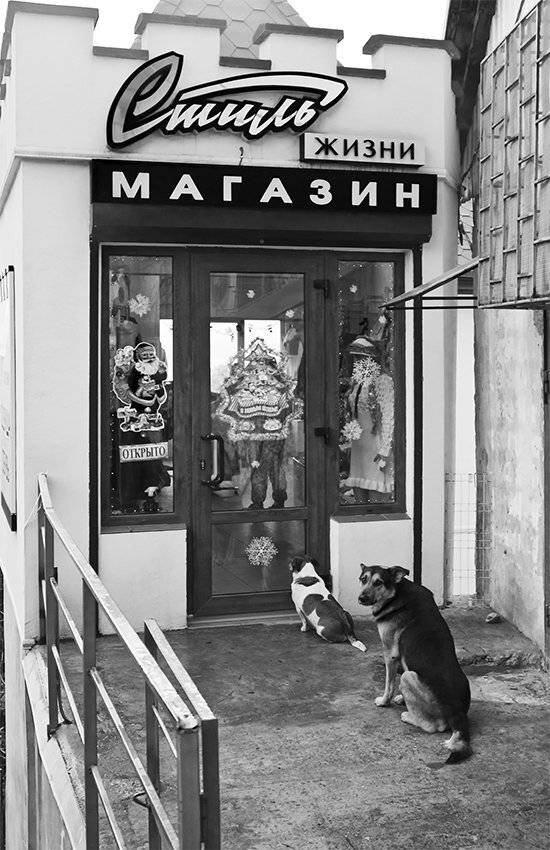 , Анатолий Покровский