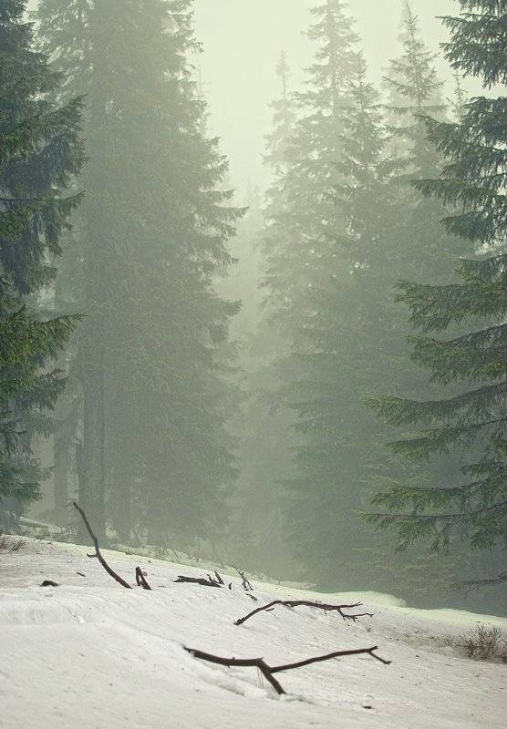 зима, карпаты, снег, туман,, Надежда