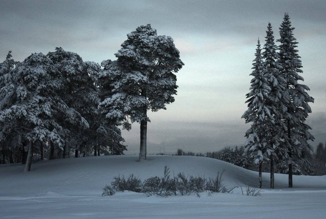 , Владимир Георгиевич