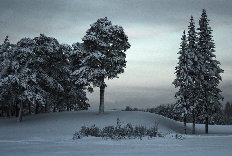 *** фото превью